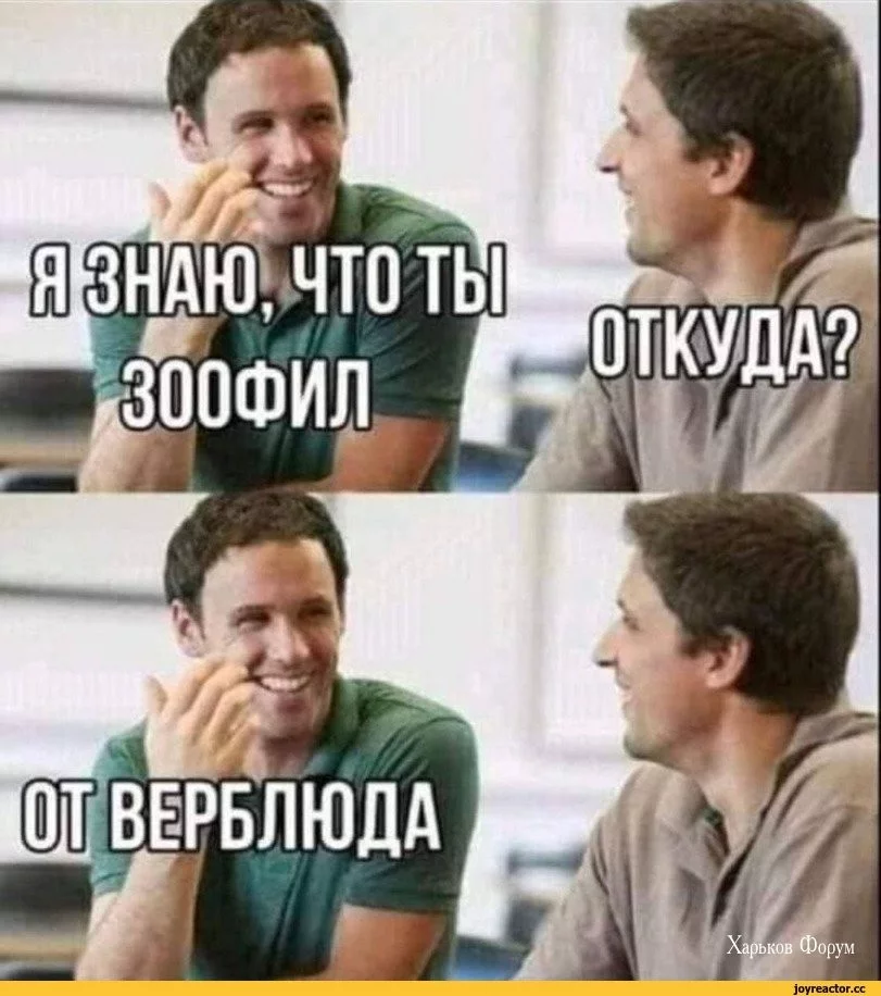 93d958442283a3305557.webp