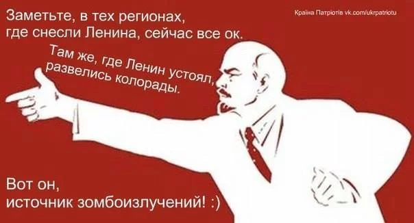 93NdFbqRrnc.webp