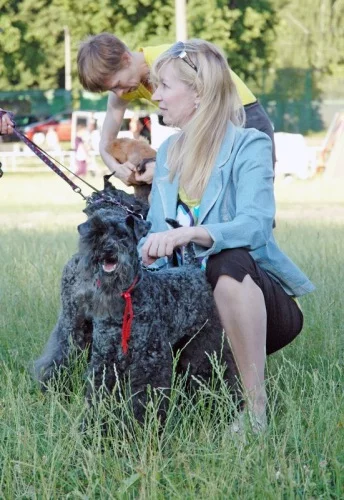 94022-07ed7-19688131-m549x500.webp