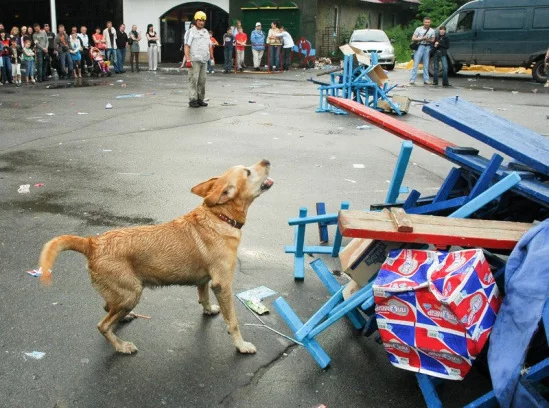 94022-0cd4d-19054562-m549x500.webp