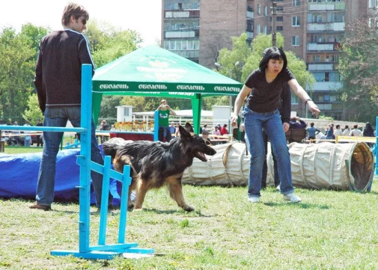 94022-14ff1-17911744-m549x500.webp