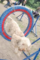 94022-1a994-19532200-h200.webp