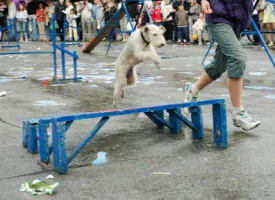 94022-1d5e1-19052059-h200.webp