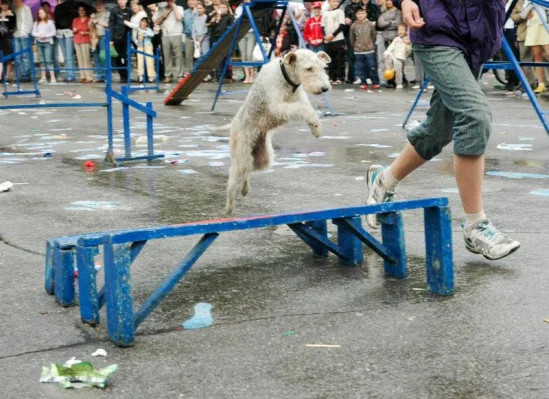 94022-1d5e1-19052059-m549x500.webp