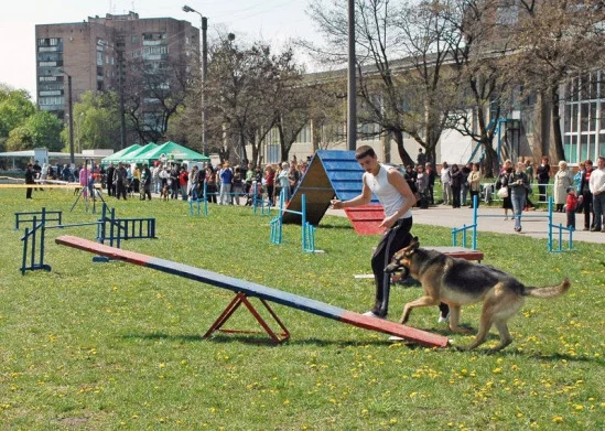 94022-1e830-17909750-m549x500.webp