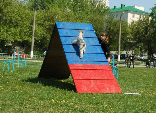 94022-1f2c2-17910155-m549x500.webp