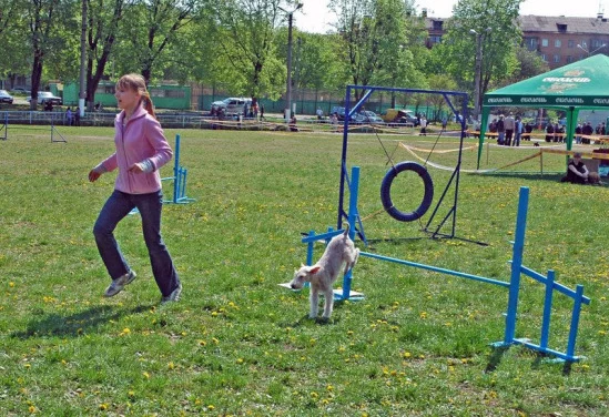 94022-21524-17910606-m549x500.webp