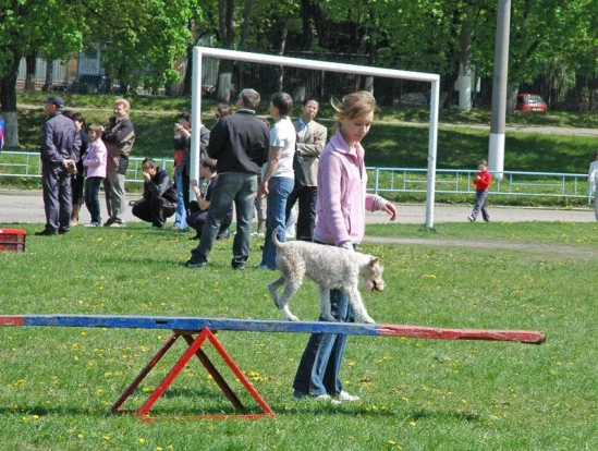 94022-265e9-17910633-m549x500.webp