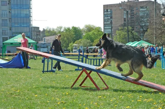94022-27f24-17909784-m549x500.webp