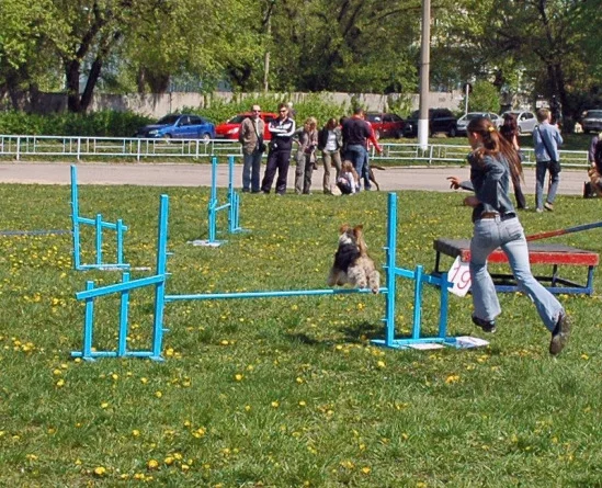 94022-2bc21-17910575-m549x500.webp