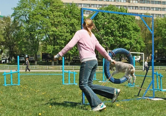 94022-35787-17912115-m549x500.webp