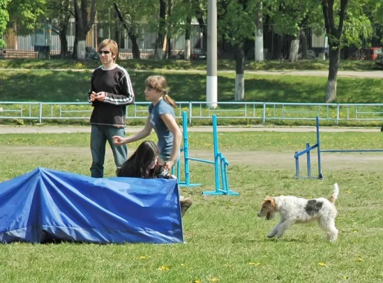 94022-3cba8-17910264-m549x500.webp