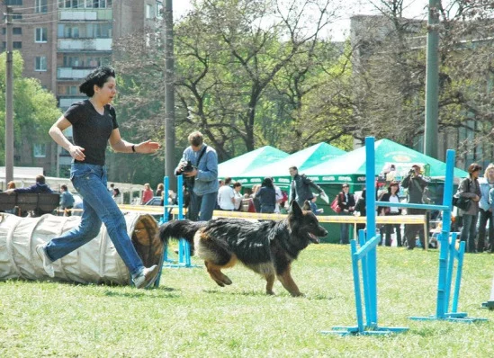 94022-41d7d-17911724-m549x500.webp