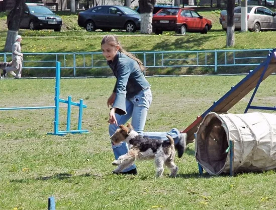 94022-49fdf-17910457-m549x500.webp