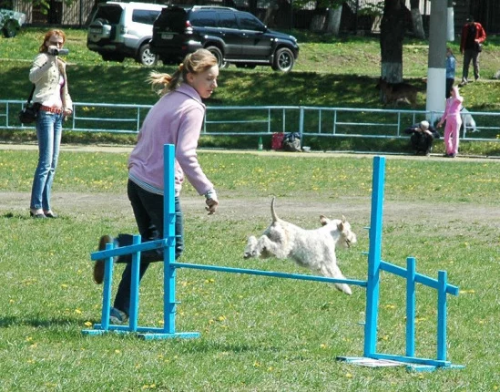 94022-513cd-17910775-m549x500.webp