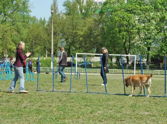 94022-59aea-17909574-m549x500.webp