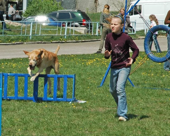 94022-5e624-17911660-m549x500.webp