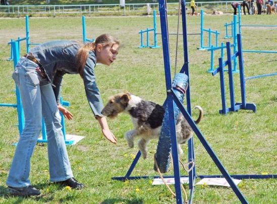 94022-60d6d-17911882-m549x500.webp
