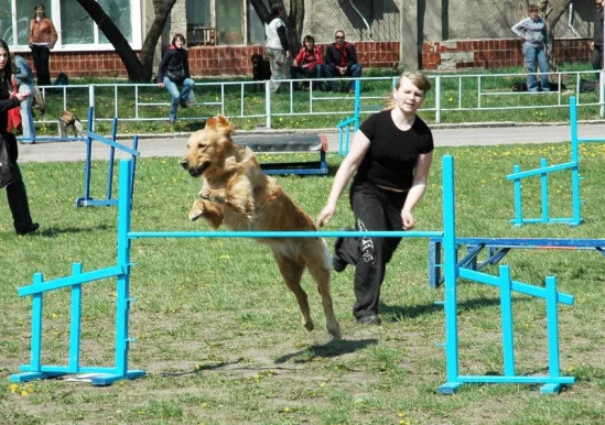 94022-768d9-17909634-m549x500.webp