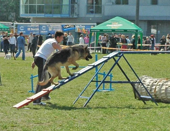 94022-803e4-17909680-m549x500.webp