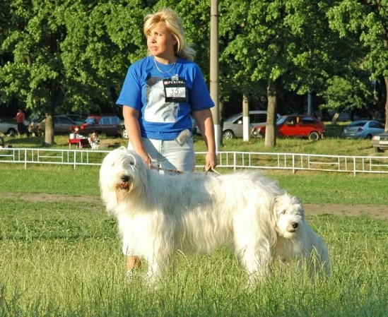 94022-83588-19688160-m549x500.webp