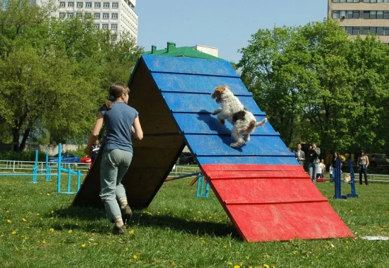 94022-8654d-17910363-m549x500.webp