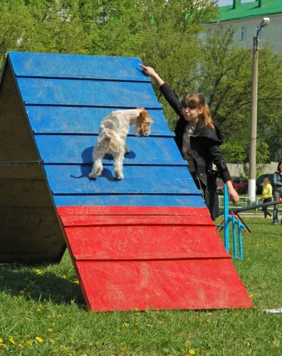 94022-8bbfa-17910159-m549x500.webp