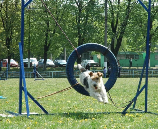94022-922a3-17910418-m549x500.webp