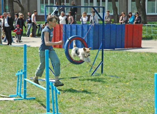 94022-9bebf-17911858-m549x500.webp