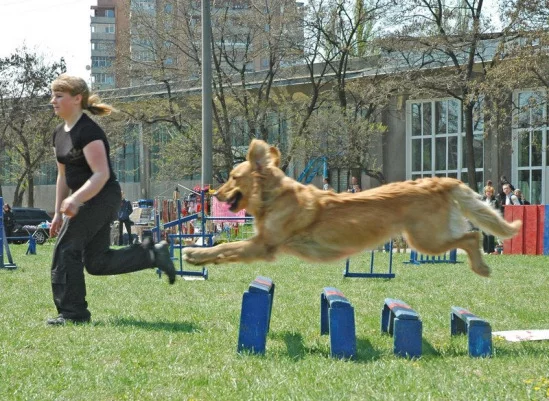 94022-9e1e9-17911689-m549x500.webp