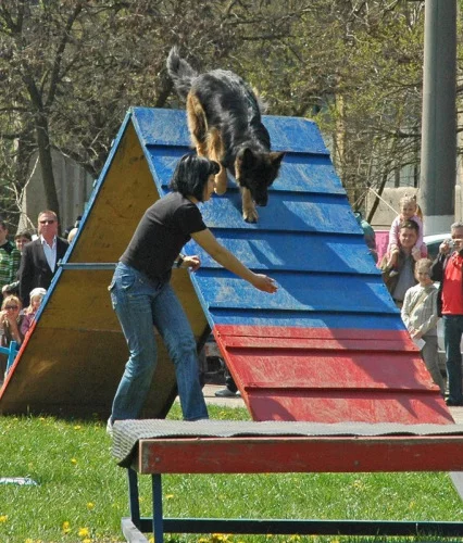 94022-9e56a-17909770-m549x500.webp