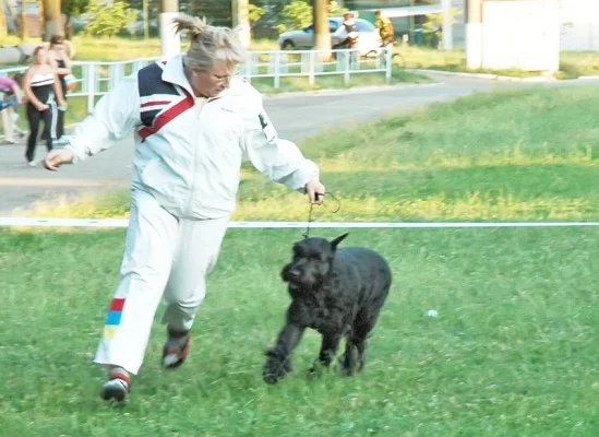 94022-ad82f-19688204-m549x500.webp