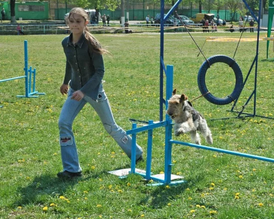 94022-b647f-17910366-m549x500.webp
