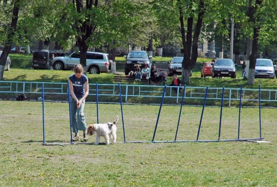 94022-bc79b-17910237-m549x500.webp