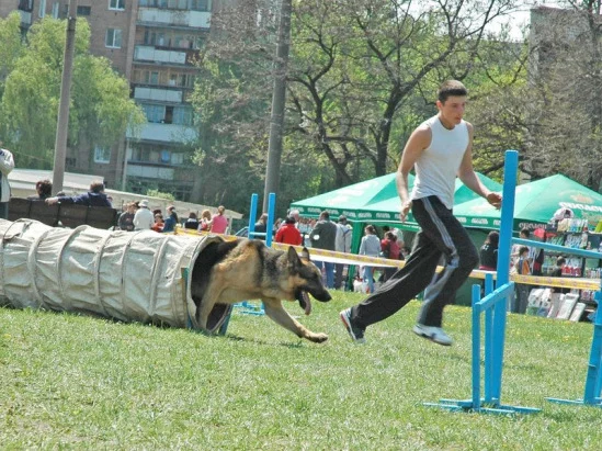 94022-c632b-17911705-m549x500.webp