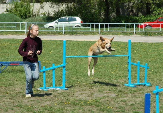 94022-c93f2-17911677-m549x500.webp