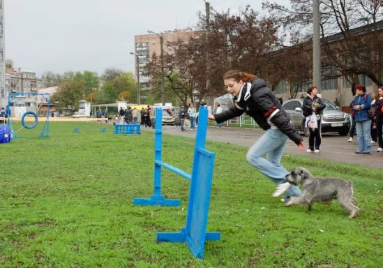 94022-cb75a-31394782-m549x500.webp