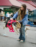 94022-cb7bb-19053992-h200.webp