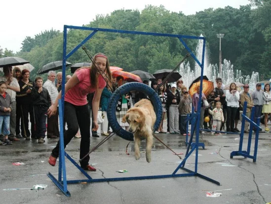 94022-d7a21-19052142-m549x500.webp