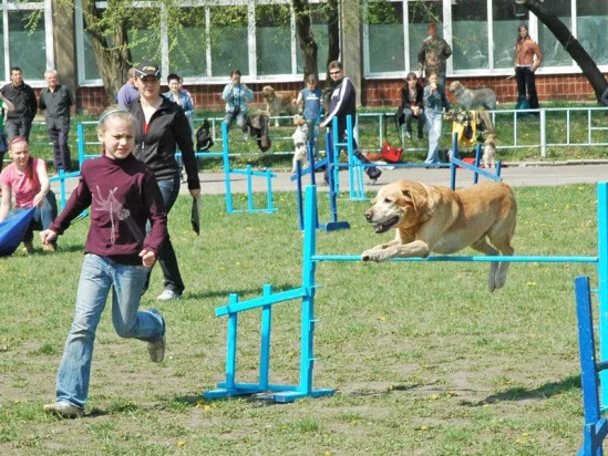 94022-db713-17909581-m549x500.webp