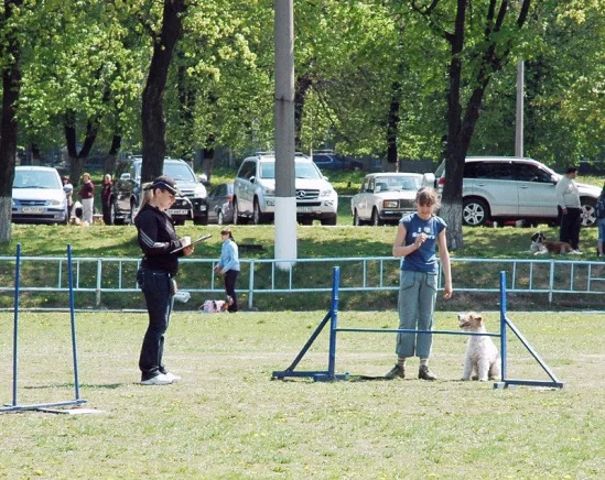 94022-e54db-17910166-m549x500.webp