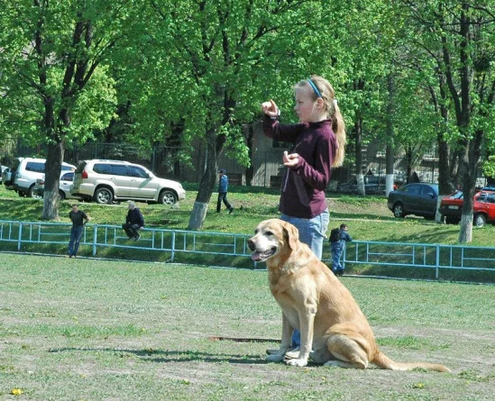 94022-e98c2-17909564-m549x500.webp