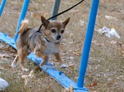 94022-f10e2-24424116-400.webp