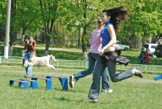 94022-f32ed-17912079-m549x500.webp