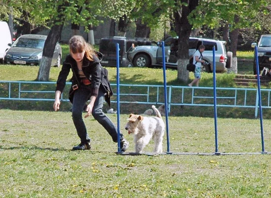 94022-f9ca8-17910061-m549x500.webp