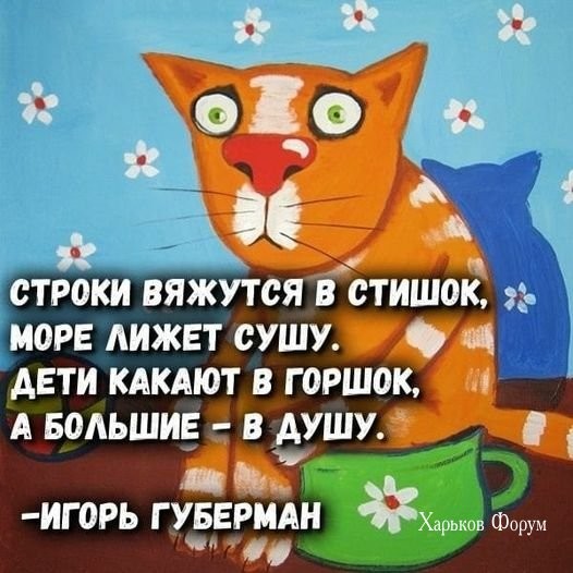 94037c7e17f646138d8710fa.jpg