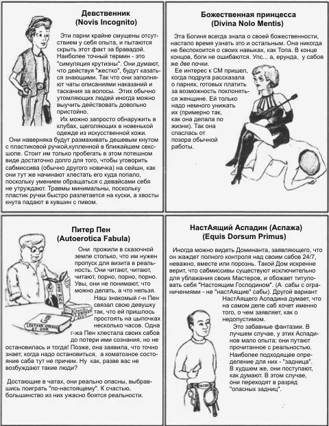 94093d1233400371-bdsm-rab-ili-gospodin-h1a.webp