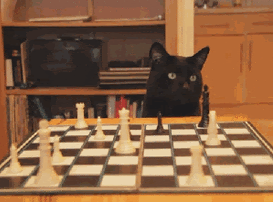 942a90741f4d0a141.gif