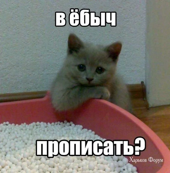 942b12f537b617d9cc.webp