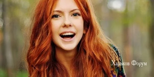 942f3a83da105786c2917.webp